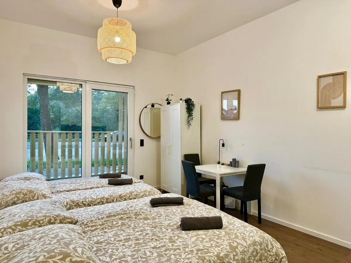 Modern Apartment With Easy Access location